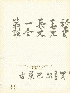 第一兵王于枫小说全文免费阅读