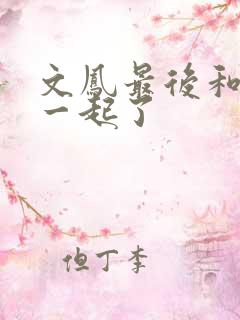 文凤最后和谁在一起了