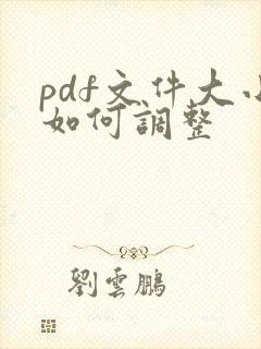 pdf文件大小如何调整