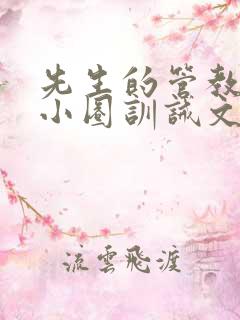 先生的管教日常小圈训诫文