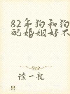 82年狗和狗相配婚姻好不好