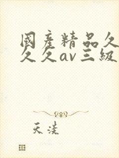 国产精品久久久久久av三级