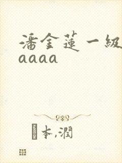 潘金莲一级乳片aaaa