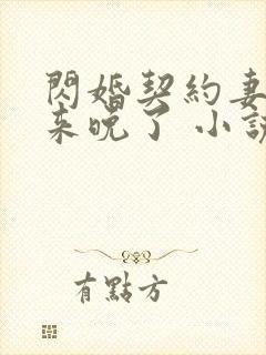 闪婚契约妻为夫来晚了 小说