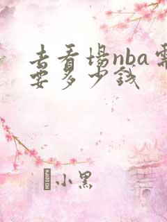 去看场nba需要多少钱