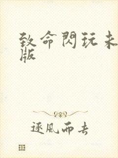 致命闪玩未删减版