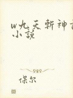 w九天斩神诀》小说