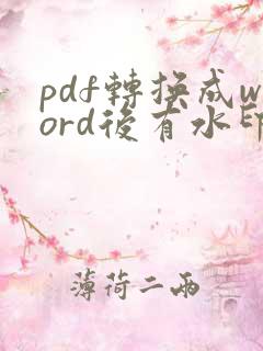 pdf转换成word后有水印怎么去掉