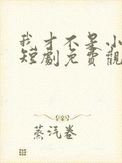 我才不是小可怜短剧免费观看