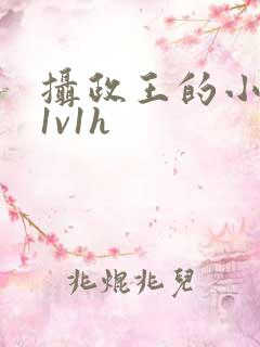 摄政王的小王妃1v1h