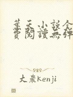 叶天小说全文免费阅读无弹窗