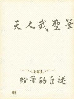 天人武圣笔趣阁