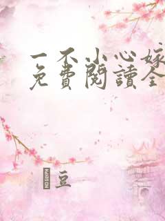 一不小心嫁总裁免费阅读全文