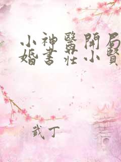 小神医开局九张婚书庄小贤