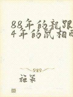 88年的龙跟84年的鼠相配吗