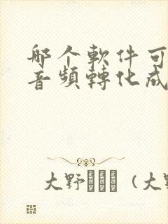 哪个软件可以把音频转化成文字
