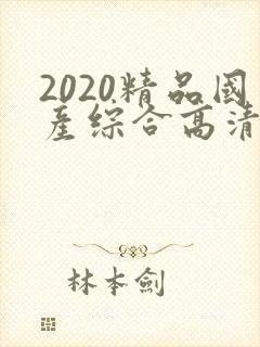 2020精品国产综合高清视频