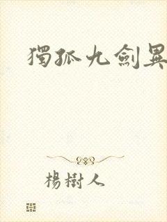 独孤九剑异世录