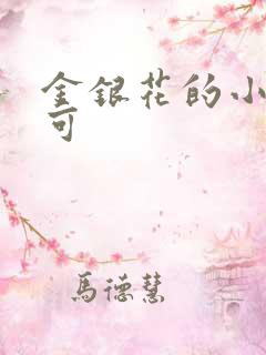 金银花的小说姜可