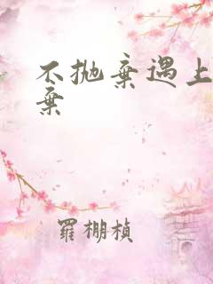 不抛弃遇上不放弃