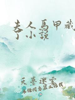 夫人马甲藏不住了小说