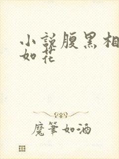小说腹黑相公美如花