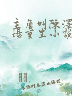 主角叫陈泽的官场重生小说