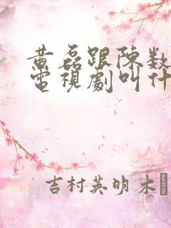 黄磊跟陈数演的电视剧叫什么名字