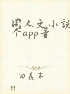同人文小说在哪个app看