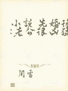 小说 先婚后爱:老公很凶猛