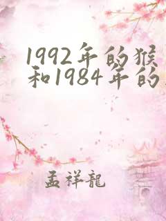 1992年的猴和1984年的鼠合吗