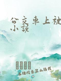 公交车上被插入小说