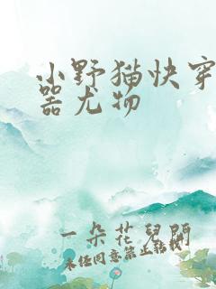 小野猫快穿之名器尤物
