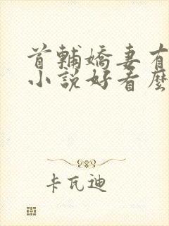 首辅娇妻有空间小说好看么