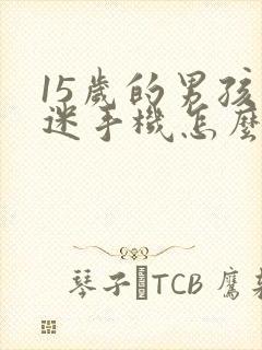15岁的男孩沉迷手机怎么办