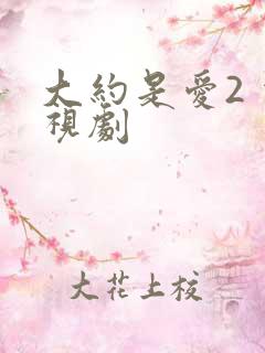 大约是爱2 电视剧