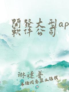 开发大型app软件公司