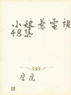 小娘惹电视剧第48集
