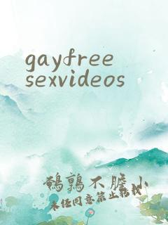 gayfreesexvideos