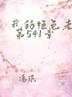 我的绝色老板娘 第541章