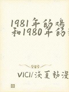 1981年的鸡和1980年的猴相配吗