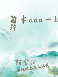 日本aaa一级片