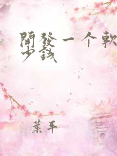 开发一个软件多少钱