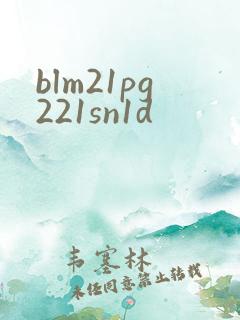 blm21pg221sn1d
