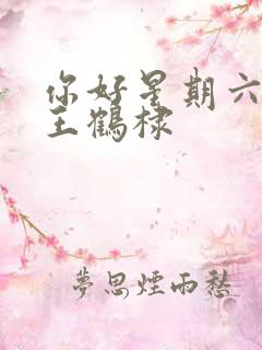 你好星期六白鹿王鹤棣