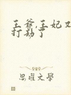 王爷,王妃又去打劫了