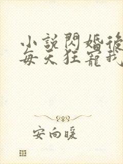 小说闪婚后大叔每天狂宠我