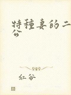 特种妻的二手老公