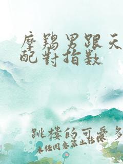 摩羯男跟天蝎女配对指数