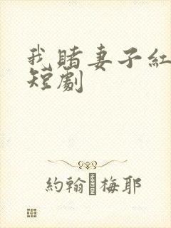 我赌妻子红缨枪短剧